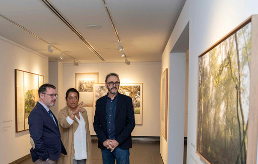 Exposición Jose Quintanilla en Fundación Unicaja ‘Mirar un paisaje. Seis visiones contemporáneas’.