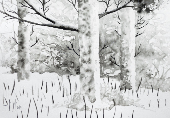 Rinat Izhak - Paisaje ByN 01.