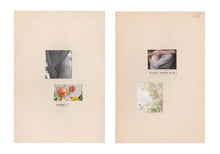 Load image into Gallery viewer, - Annita Klimt - Mi Amor Tambien Se Va / Contigo.