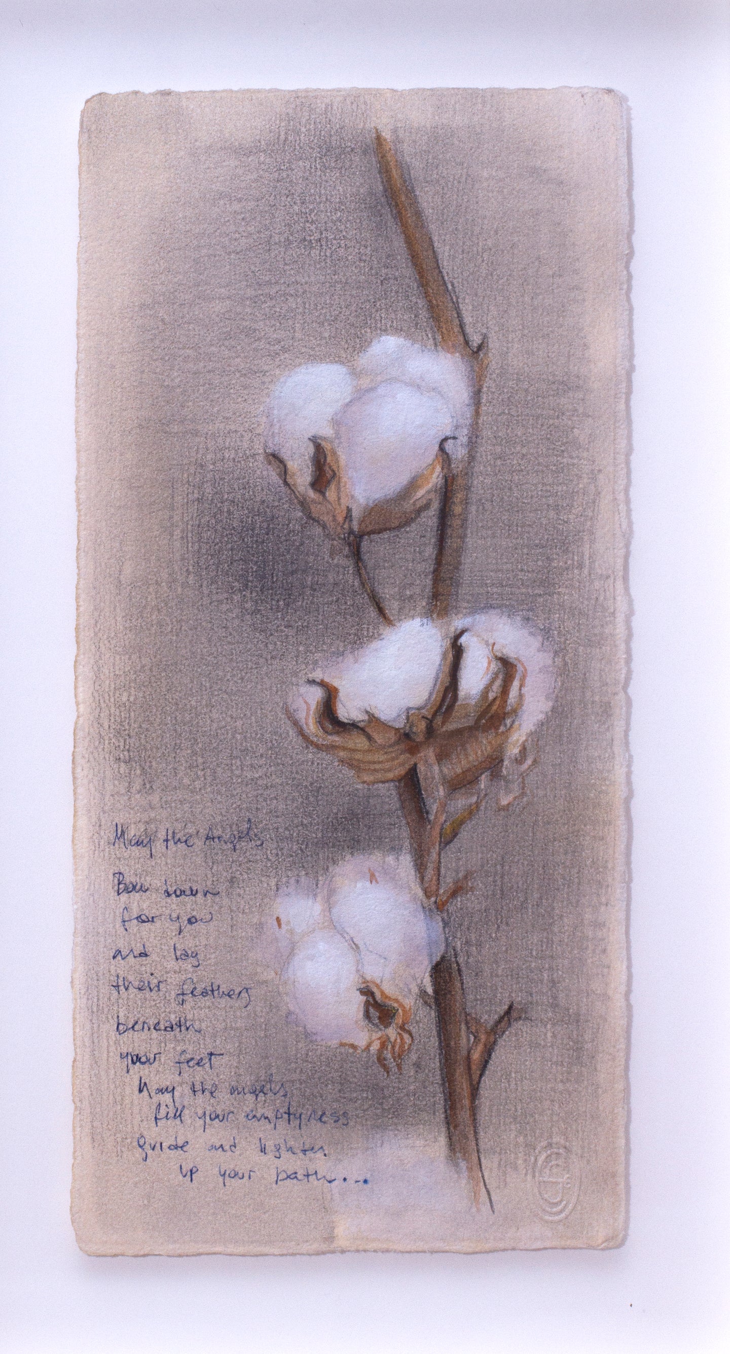 Evangelina Esparza - Flor de algodón.